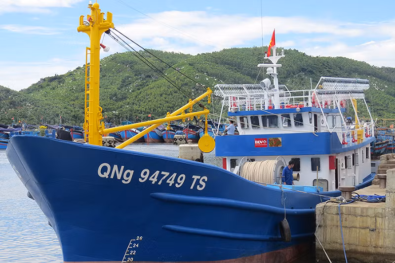 Tỉnh Quảng Ngãi có 44 tàu cá 67 hoạt động cầm chừng, không hiệu quả, không trả được nợ gốc/lãi theo cam kết.