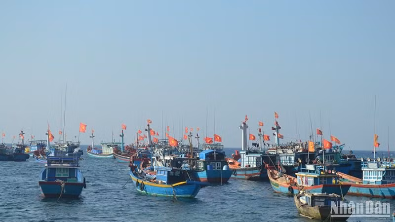 Quảng Ngãi kiên quyết xử lý dứt điểm tàu cá "3 không".