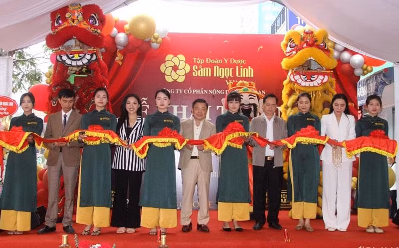 Cắt băng khánh thành cửa hàng bán sâm Ngọc Linh và dược liệu quý tại Nghệ An.