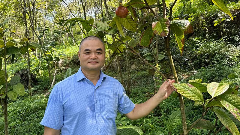 TS Vũ Văn Tâm tại Công viên Trà Hoa vàng, Thung lũng Cổ Ngựa, huyện Nho Quan, Ninh Bình.