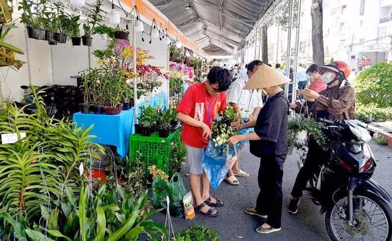 Người dân mua hoa lan tại Tuần lễ Sinh vật cảnh Thành phố Hồ Chí Minh năm 2022. Người dân mua hoa lan tại Tuần lễ Sinh vật cảnh Thành phố Hồ Chí Minh năm 2022.