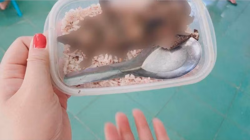 Hình ảnh hộp cơm với thịt chuột được đưa lên mạng xã hội. 