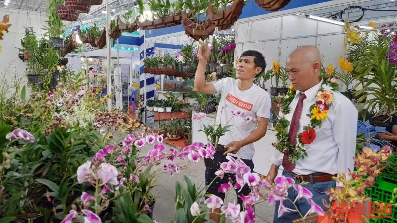 Người dân mua hoa lan tại hội chợ, triển lãm sản phẩm nông nghiệp tiêu biểu. Người dân mua hoa lan tại hội chợ, triển lãm sản phẩm nông nghiệp tiêu biểu.