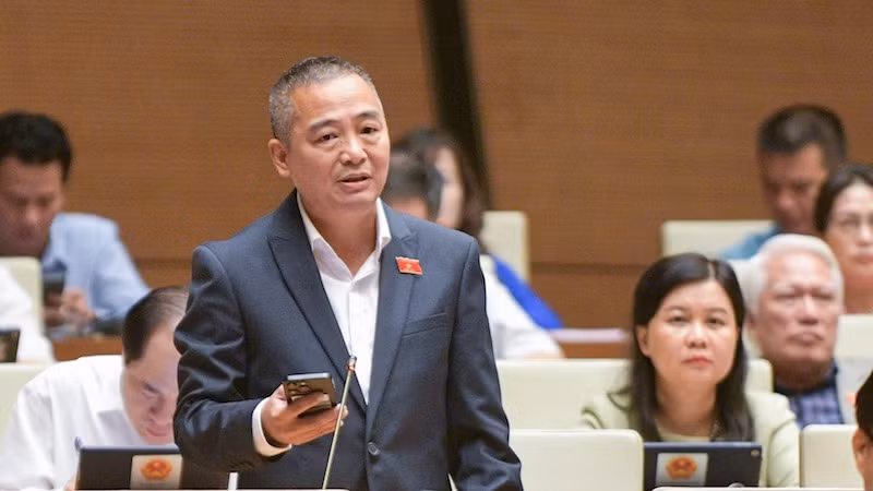 Đại biểu Nguyễn Lân Hiếu (đoàn Bình Định). Đại biểu Nguyễn Lân Hiếu (đoàn Bình Định).