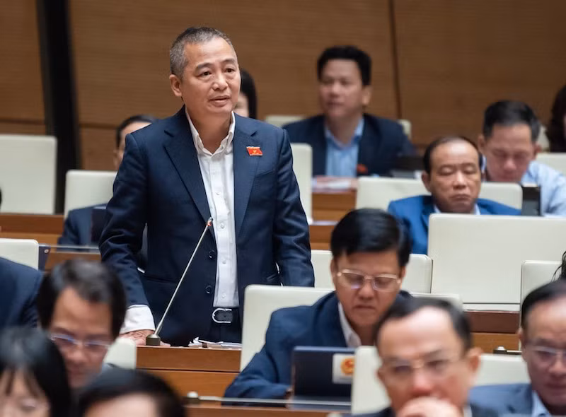Đại biểu Quốc hội Nguyễn Lân Hiếu. (Ảnh: Anh Khoa)