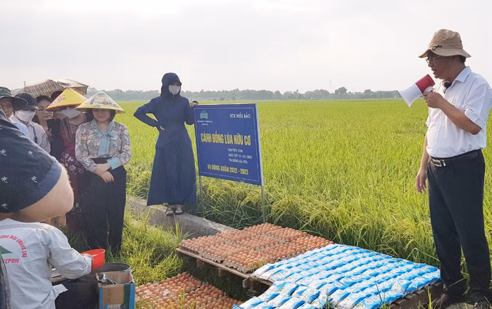 Các đại biểu nghe giới thiệu việc sử dụng trứng gà và sữa tươi để phun cho lúa hữu cơ.