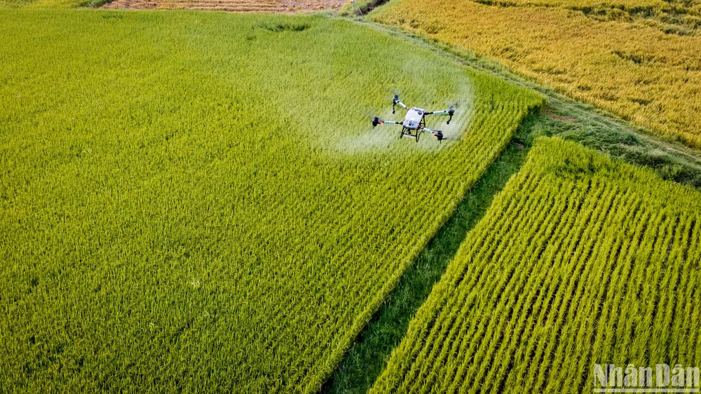 Báo cáo Hiện trạng môi trường Việt Nam 2023 do Bộ Tài nguyên và Môi trường vừa công bố đề xuất triển khai các giải pháp ưu tiên phát triển nông nghiệp và nông thôn gắn với bảo vệ môi trường và phát triển bền vững. 