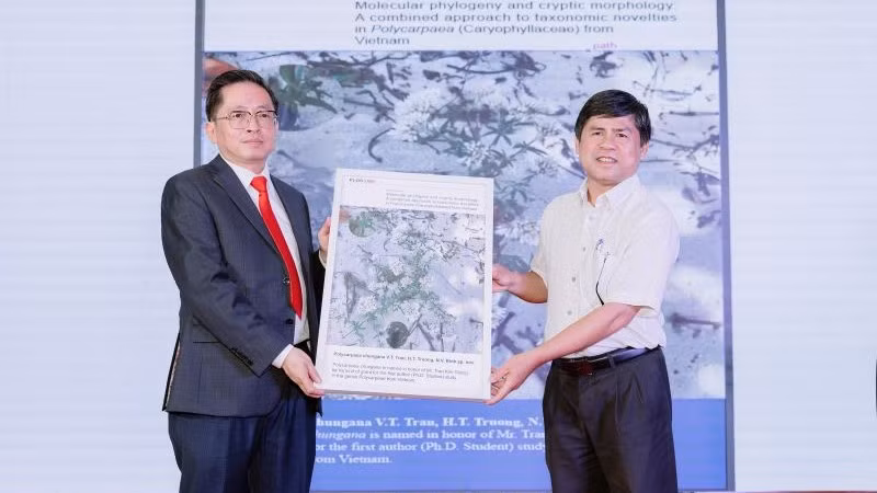 Phó Giáo sư, Tiến sĩ Trần Văn Tiến, Đại học Đà Lạt tặng bức ảnh loài hoa hoàn toàn mới, được đặt theo tên của Chủ tịch Tập đoàn CT Group.