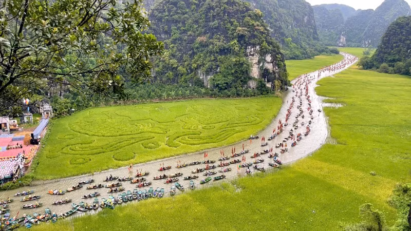 Cánh đồng Tam Cốc năm nay được tạo hình bức tranh "Cá chép vượt vũ môn".
