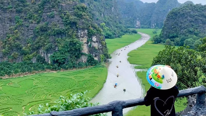 Bức tranh khổng lồ trên cánh đồng lúa Tam Cốc ở khu vực hang Hai.
