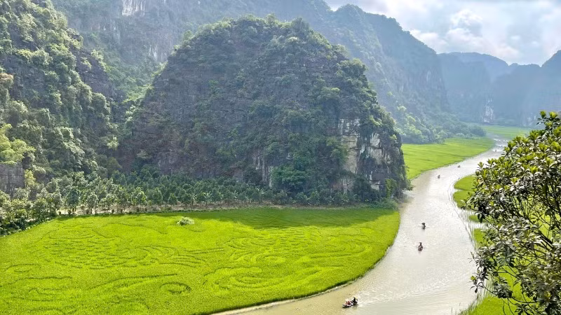 Hiện cánh đồng lúa Tam Cốc, Ninh Bình đang được nhiều khách du lịch quan tâm, tìm về.