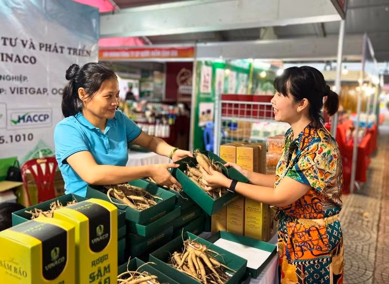Sản phẩm Sâm Báo của huyện Vĩnh Lộc, tỉnh Thanh Hóa được giới thiệu, bày bán tại hội chợ. Sản phẩm Sâm Báo của huyện Vĩnh Lộc, tỉnh Thanh Hóa được giới thiệu, bày bán tại hội chợ.