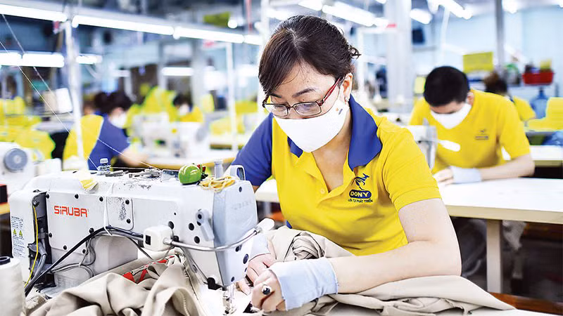 Lao động may quần áo xuất khẩu tại một doanh nghiệp ở Thành phố Hồ Chí Minh. (Ảnh: nhandan.vn)