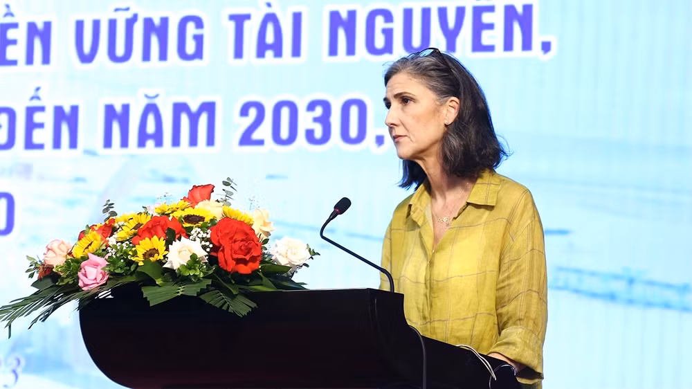 Đại diện UNDP tại Việt Nam phát biểu ý kiến.