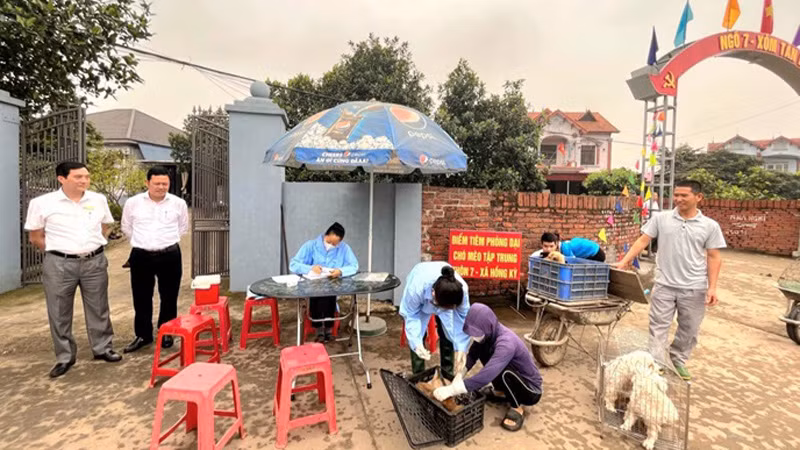 Tiêm vắc-xin phòng dại cho đàn chó, mèo trên địa bàn huyện Sóc Sơn (Thành phố Hà Nội). Tiêm vắc-xin phòng dại cho đàn chó, mèo trên địa bàn huyện Sóc Sơn (Thành phố Hà Nội).