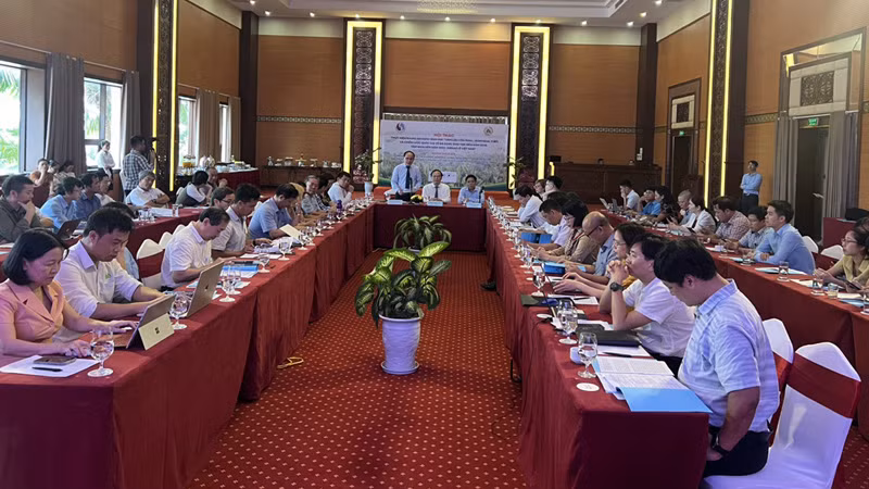 Các đại biểu tham dự Hội thảo.