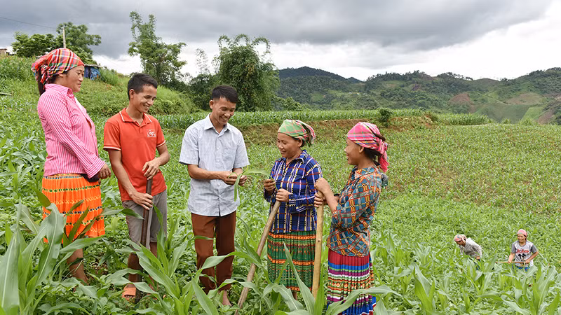 Hướng dẫn người dân bản Tà Han, xã Xuân Lạc, huyện Chợ Đồn, Bắc Kạn, trồng ngô năng suất cao. (Ảnh: Trần Hải)