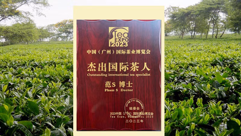 Vườn chè LĐ 97 sản xuất hữu cơ tại Lâm Đồng và chứng nhận “Nhà khoa học đóng góp kiệt xuất cho ngành trà thế giới” dành cho những cống hiến của Tiến sĩ Phạm S. Vườn chè LĐ 97 sản xuất hữu cơ tại Lâm Đồng và chứng nhận “Nhà khoa học đóng góp kiệt xuất cho ngành trà thế giới” dành cho những cống hiến của Tiến sĩ Phạm S.