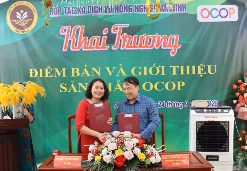 Hợp tác xã Dịch vụ nông nghiệp An Ninh và Công ty cổ phần Giống-Vật tư nông nghiệp công nghệ cao Việt Nam ký kết hợp tác. (Ảnh: CTV) Hợp tác xã Dịch vụ nông nghiệp An Ninh và Công ty cổ phần Giống-Vật tư nông nghiệp công nghệ cao Việt Nam ký kết hợp tác. (Ảnh: CTV)
