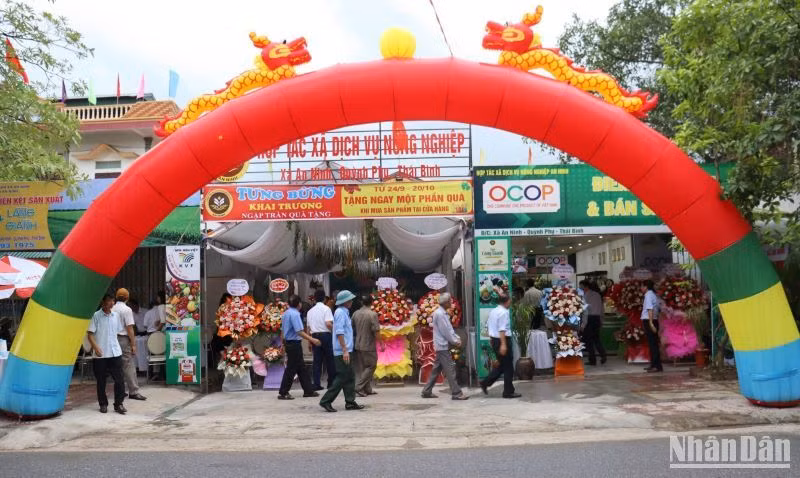 Điểm bán sản phẩm OCOP đầu tiên ngay tại Hợp tác xã Dịch vụ nông nghiệp An Ninh (huyện Quỳnh Phụ, tỉnh Thái Bình). (Ảnh Mai Tú)