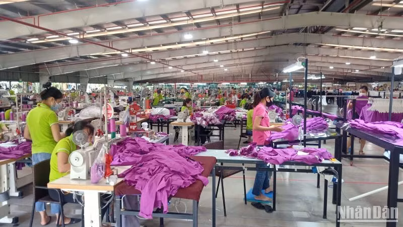 Người lao động trong lĩnh vực dệt, may, da giày ở Thái Bình bị ảnh hưởng nhiều nhất. Người lao động trong lĩnh vực dệt, may, da giày ở Thái Bình bị ảnh hưởng nhiều nhất.