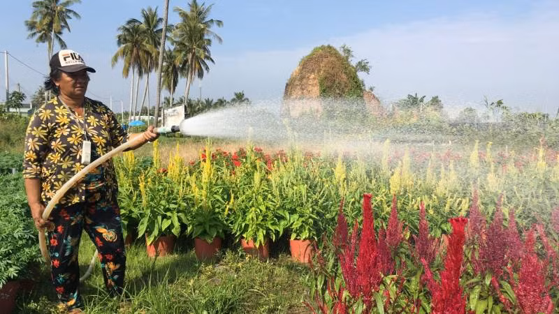 Người dân vùng nông thôn sử dụng điện trong bơm tưới phục vụ sản xuất nông nghiệp. Người dân vùng nông thôn sử dụng điện trong bơm tưới phục vụ sản xuất nông nghiệp.