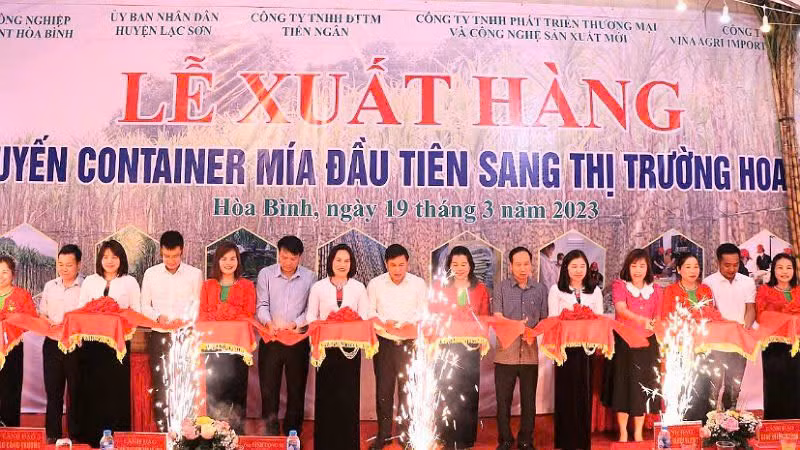 Lãnh đạo tỉnh Hòa Bình và doanh nghiệp cắt băng xuất khẩu lô mía tươi đầu tiên sang thị trường Hoa Kỳ vào tháng 3/2023.