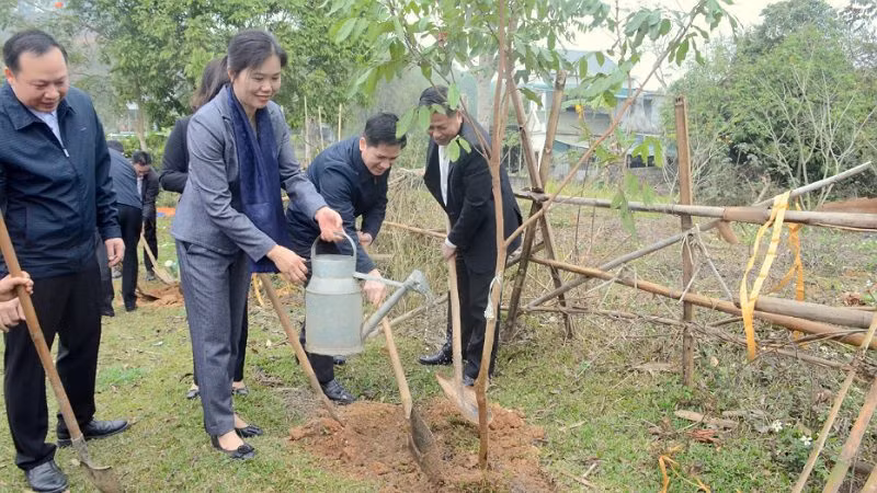 Các đồng chí lãnh đạo tỉnh Hòa Bình trồng cây sau Lễ phát động.