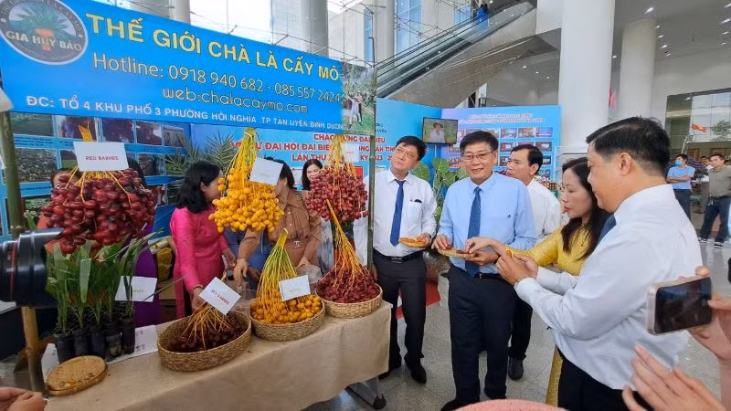 Gian hàng trưng bày sản phẩm chà là cấy mô của nông dân thành phố Tân Uyên, tỉnh Bình Dương.