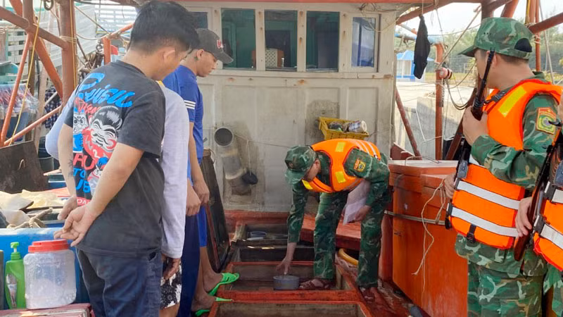 Lực lượng Bộ đội Biên phòng kiểm tra tàu cá.