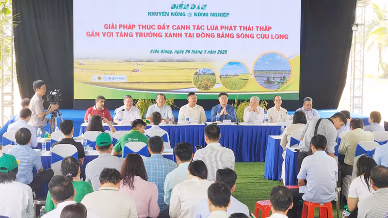 Quang cảnh diễn đàn“Giải pháp thúc đẩy canh tác lúa phát thải thấp gắn liền với tăng trưởng xanh tại vùng Đồng bằng sông Cửu Long”.