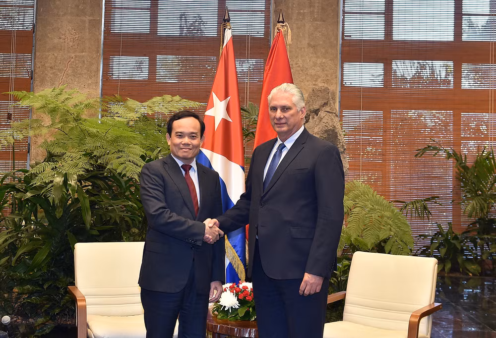 Phó Thủ tướng Trần Lưu Quang hội kiến đồng chí Miguel Diaz-Canel, Bí thư thứ nhất Ban Chấp hành Trung ương Đảng cộng sản Cuba, Chủ tịch nước Cuba - Ảnh: VGP