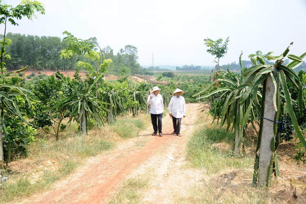 Ảnh minh họa: TRẦN HẢI