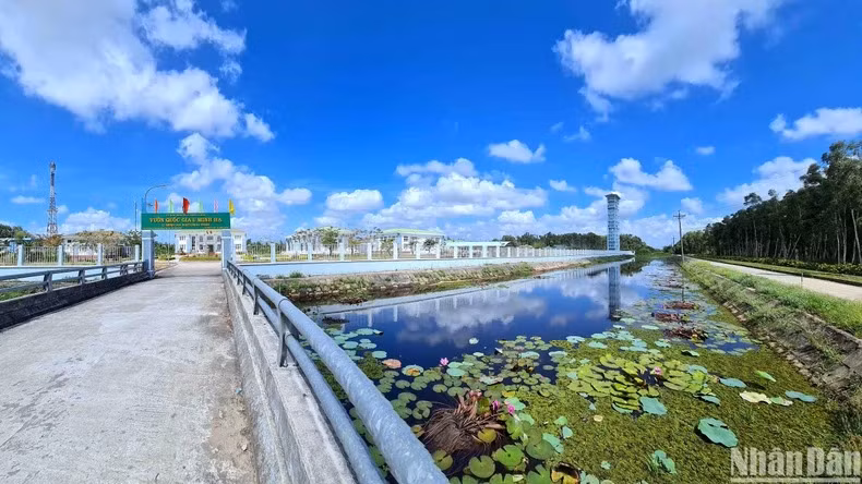 Ảnh minh họa: HỮU TÙNG