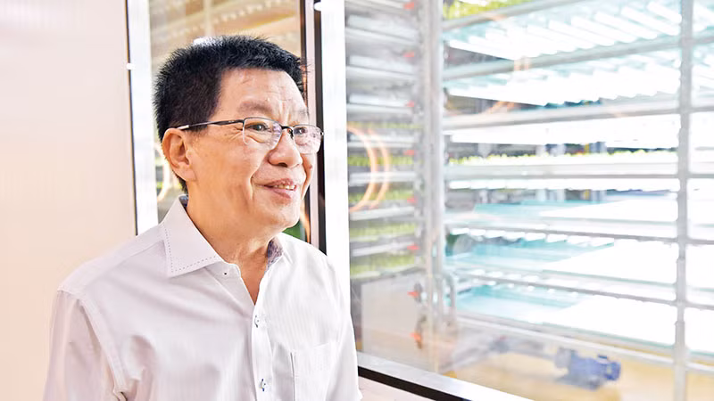 Ông Lâm giới thiệu khu trồng rau sạch bằng công nghệ Nhật Bản