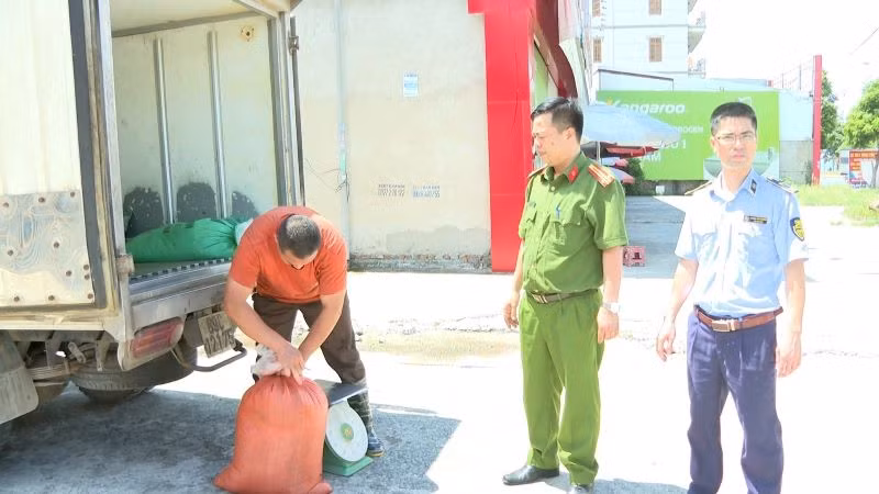 Hơn 300kg lòng lợn bốc mùi hôi thối bị các cơ quan chức năng thu giữ.
