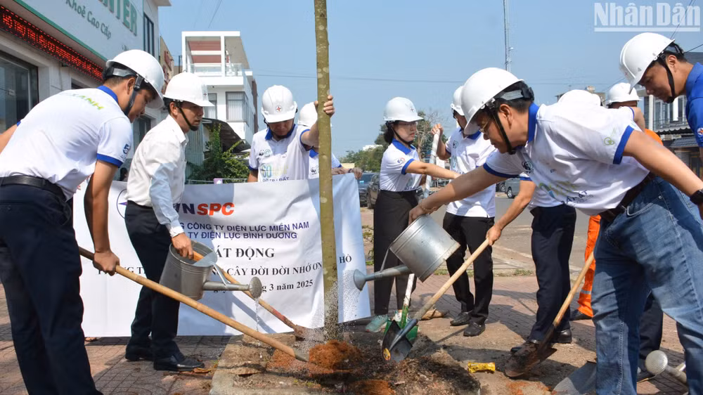 Các đơn vị trồng cây xanh hưởng ứng chiến dịch Giờ Trái đất năm 2025. Các đơn vị trồng cây xanh hưởng ứng chiến dịch Giờ Trái đất năm 2025.
