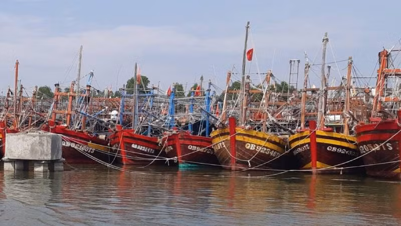 Tàu thuyền của ngư dân Quảng Bình neo đậu tránh trú bão ở Khu neo đậu sông Gianh.