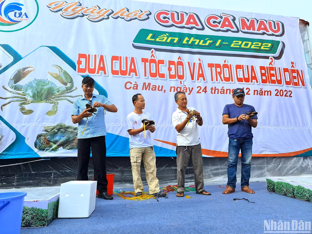 Nhà nông Cà Mau thi trói cua trình diễn vào sáng 24/12 tại “Ngày hội cua Cà Mau lần thứ I năm 2022”.