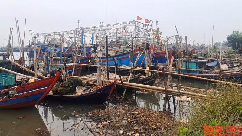 Tàu thuyền vào nơi tránh trú an toàn với bão số 2 ở ven biển ở huyện Nghĩa Hưng, Nam Định (Ảnh minh họa: Trần Khánh).