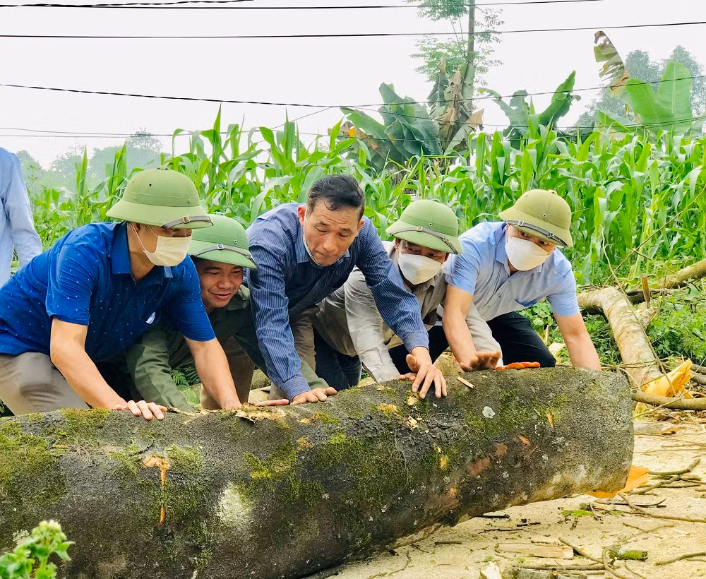 Người dân xã An Phú tự nguyện phá bỏ cây ăn quả để làm đường giao thông nông thôn.