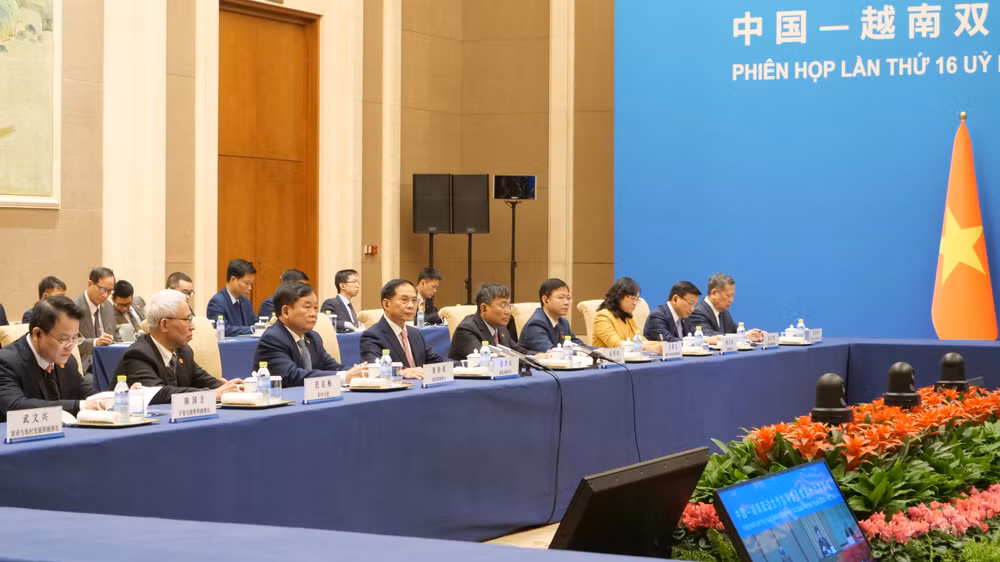 Phó Thủ tướng Chính phủ Bùi Thanh Sơn phát biểu tại phiên họp.