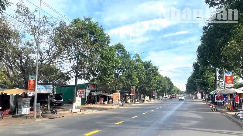 Buôn Đôn là huyện biên giới còn nhiều khó khăn nên các cán bộ lãnh đạo làm đơn xin nghỉ hưu trước tuổi nhằm tạo điều kiện cho các cán bộ trẻ có điều kiện rèn luyện, phấn đấu, trưởng thành chung sức xây dựng huyện Buôn Đôn ngày càng giàu đẹp. Buôn Đôn là huyện biên giới còn nhiều khó khăn nên các cán bộ lãnh đạo làm đơn xin nghỉ hưu trước tuổi nhằm tạo điều kiện cho các cán bộ trẻ có điều kiện rèn luyện, phấn đấu, trưởng thành chung sức xây dựng huyện Buôn Đôn ngày càng giàu đẹp.