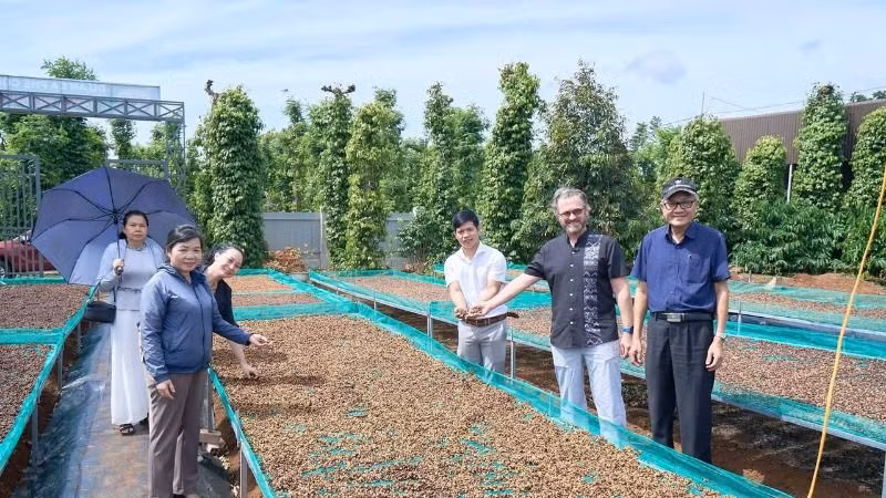 Các đối tác nước ngoài thăm cơ sở chế biến cà-phê hữu cơ của Công ty trách nhiệm hữu hạn sản xuất và thương mại Vương Thành Công, thành phố Buôn Ma Thuột, tỉnh Đắk Lắk.