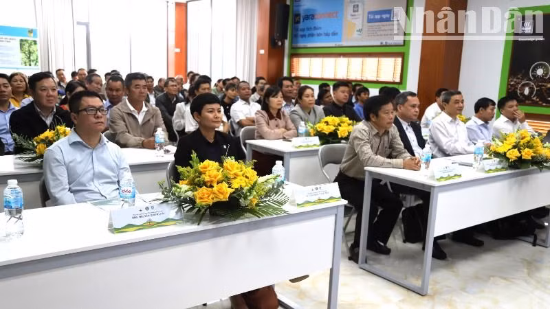 Các đại biểu dự Lễ khởi động Dự án xây dựng mô hình sử dụng phân bón hữu cơ trong sản xuất sầu riêng bền vững tại tỉnh Đắk Lắk. Các đại biểu dự Lễ khởi động Dự án xây dựng mô hình sử dụng phân bón hữu cơ trong sản xuất sầu riêng bền vững tại tỉnh Đắk Lắk.