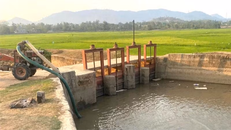 Người dân sử dụng máy bơm để tận dụng nguồn nước còn lại dưới các hồ, đập, kênh thủy lợi để chống hạn cho lúa nước.