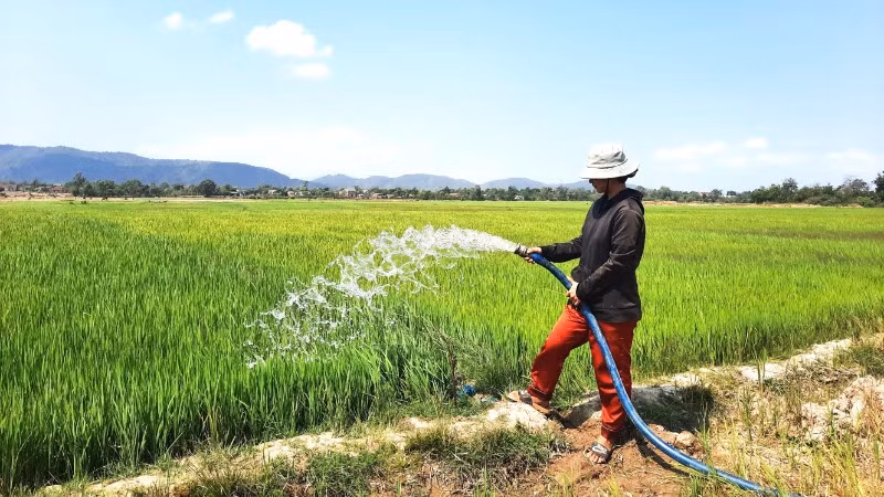 Để ứng phó với khô hạn, người dân trong tỉnh đã đầu tư kinh phí bơm nước tưới cây trồng khiến cho cuộc sống càng khó khăn thêm.