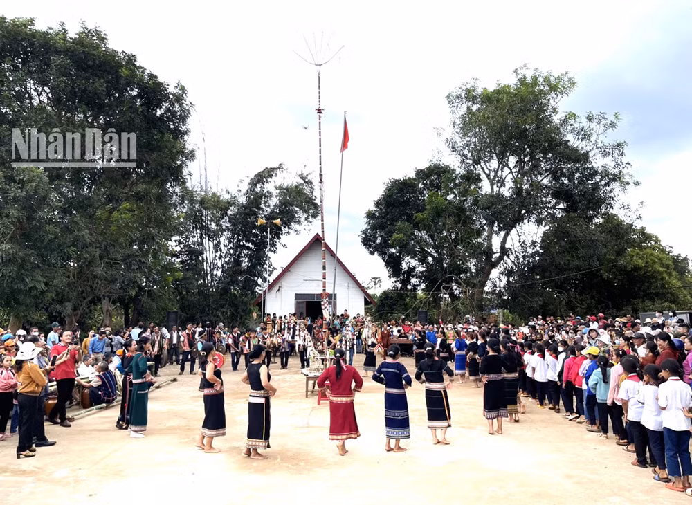 Lễ hội mừng cơm mới của đồng bào Xơ Đăng ở buôn H'rinh, xã Ea H'đing, huyện Cư M'gar là lễ hội duy nhất trong ngày đầu năm mới ở Đắk Lắk thu hút đông đảo du khách và người dân địa phương đến tham gia, vui chơi.