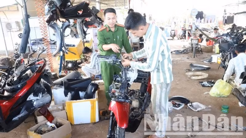 Các phạm nhân ở Trại giam Đắk Trung được học nghề sửa chữa xe máy. Các phạm nhân ở Trại giam Đắk Trung được học nghề sửa chữa xe máy.