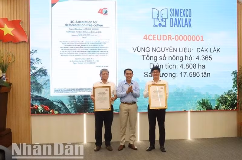 Đại diện Cục Trồng trọt, Bộ Nông nghiệp và Phát triển nông thôn trao 2 chứng nhận của tổ chức 4C chứng nhận về 2 vùng trồng đáp ứng tiêu chuẩn EUDR với tổng gần 8.000 nông dân, diện tích 9.500 ha và sản lượng trên 35.000 tấn cho lãnh đạo Simexco Đắk Lắk.